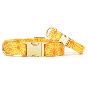 The Foggy Dog - Dog Collar Here Comes the Sun - Southern Agriculture 
