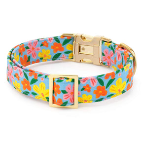 The Foggy Dog - Dog Collar Island Time