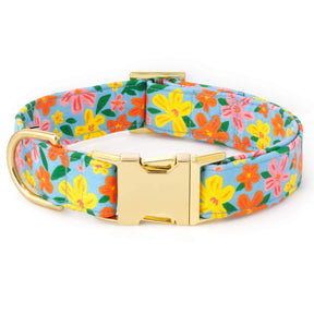 The Foggy Dog - Dog Collar Island Time