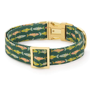 The Foggy Dog - Dog Collar Gone Fishing