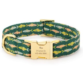 The Foggy Dog - Dog Collar Gone Fishing