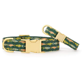 The Foggy Dog - Dog Collar Gone Fishing