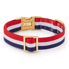 The Foggy Dog - Dog Collar Newport Striped