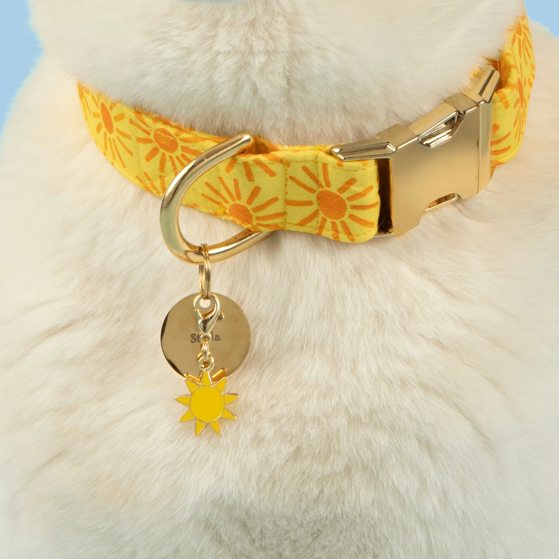 The Foggy Dog - Dog Collar Here Comes the Sun - Southern Agriculture 