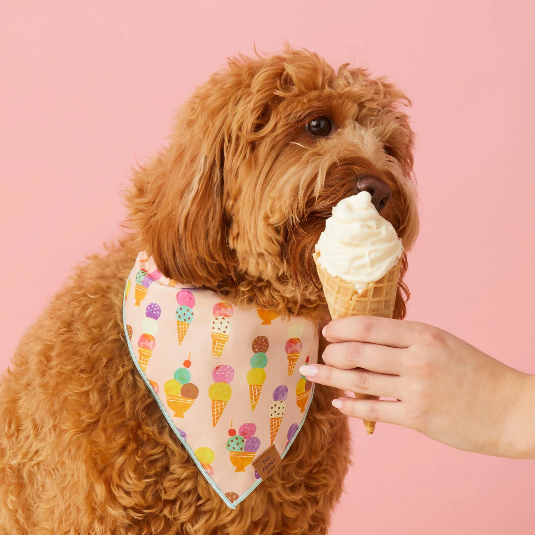 Foggy Dog - Bandana Dog Sundae Funday