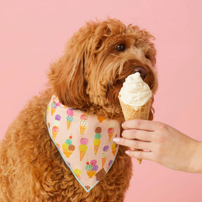 Foggy Dog - Bandana Dog Sundae Funday