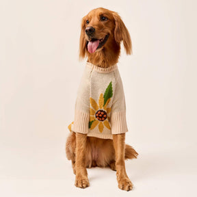 The Foggy Dog - Dog Sweater Sunflower