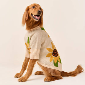 The Foggy Dog - Dog Sweater Sunflower