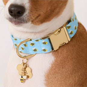 Foggy Dog - Dog Collar Sweet As Can Bee