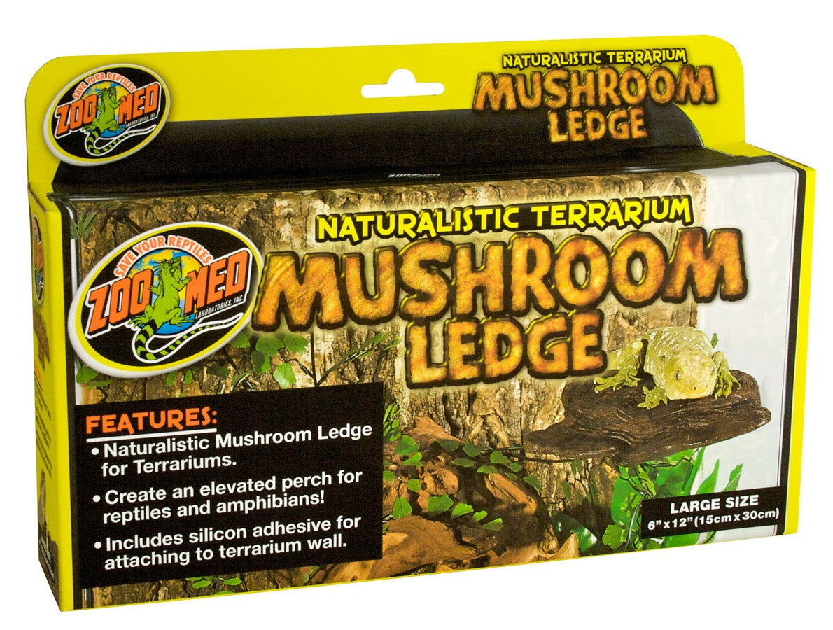 Mushroom Feeding Ledge