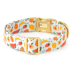 The Foggy Dog - Dog Collar Fruit Salad Summer