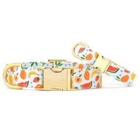 The Foggy Dog - Dog Collar Fruit Salad Summer