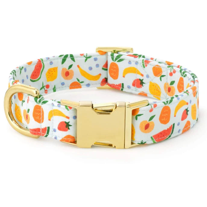 The Foggy Dog - Dog Collar Fruit Salad Summer