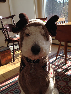 Chilly Dog -  Dog Hoodie Moosey - Southern Agriculture 