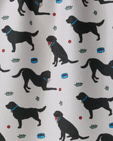 Geometry - Tea Towel Lab Pals Black Lab
