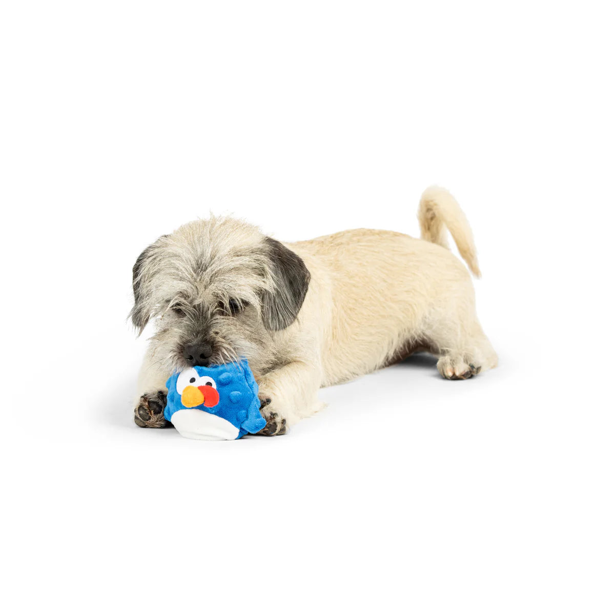 Huxley & Kent - Dog Toy Chicken Gordon Bleu