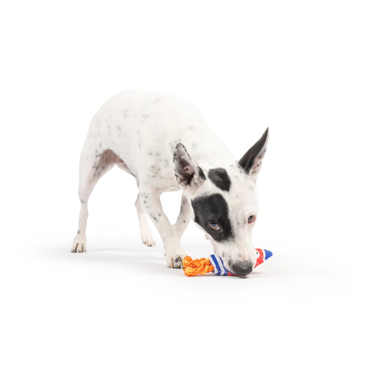 Huxley & Kent - Dog Toy Tiny Tuff Rocket Man