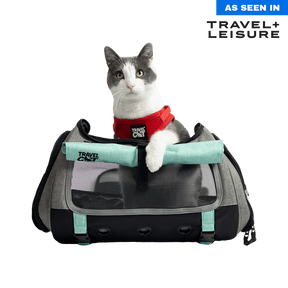 Travel Cat - Backpack "The Transpurrter"