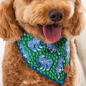 The Foggy Dog - Bandana Dog Printfresh X TFD Tiger Queen