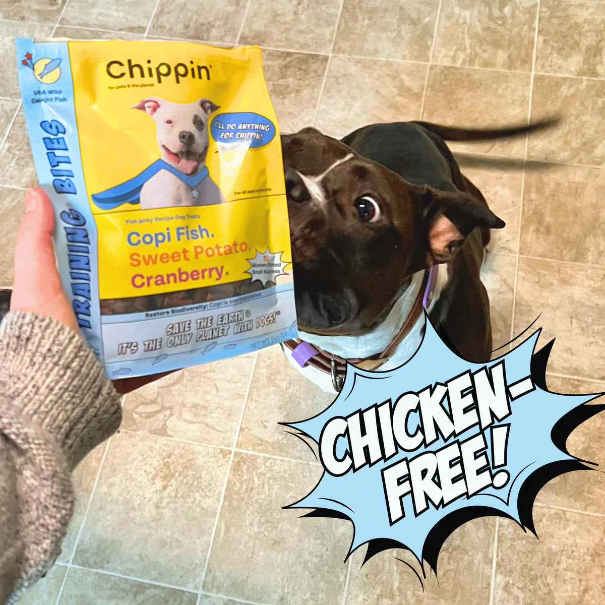 Chippin - Training Bites