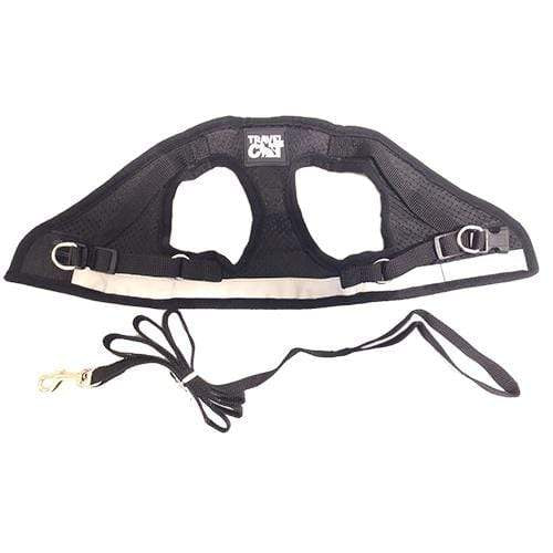 Travel Cat - Harness Reflective Cat/Kitten "The True Adventurer"