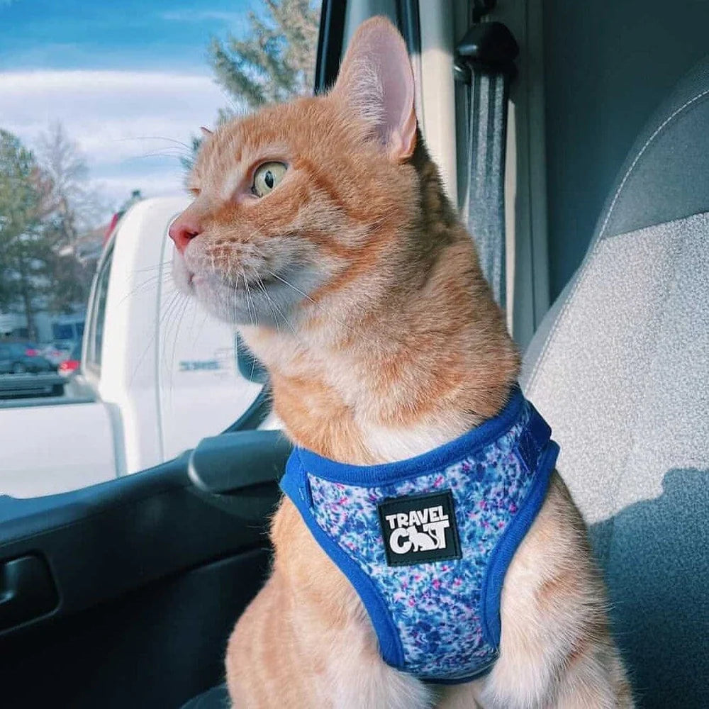 Travel Cat - Harness & Leash Set - "The Groovy Cat"