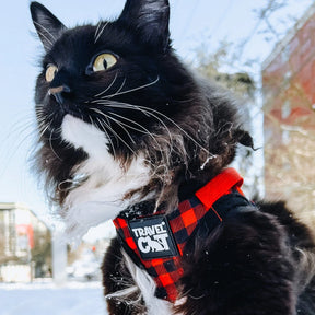 Travel Cat - Harness & Leash Set - "Buffalo Plaid"