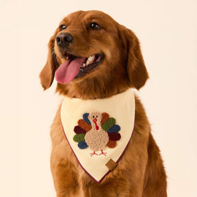 The Foggy Dog - Bandana Dog Turkey Applique