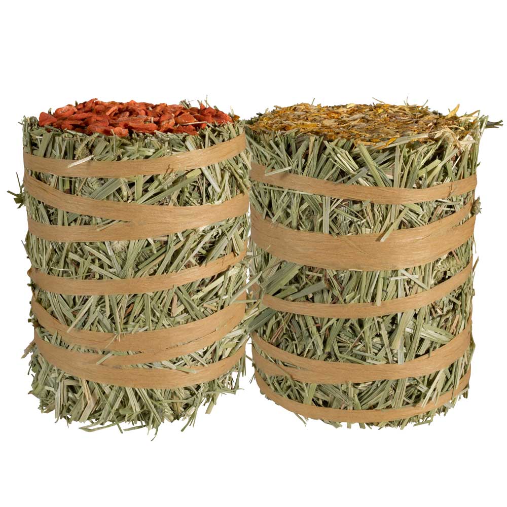 Kaylor of Colorado - Field + Forest Mini Hay Bales Carrot/Pot Marigold 2 Pack