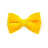 Made by Cleo - Bow Tie Velvet