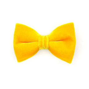 Made by Cleo - Bow Tie Velvet