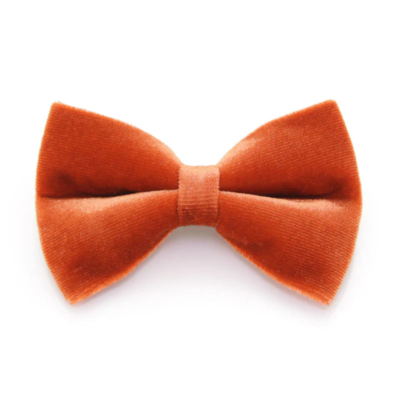 Made by Cleo - Bow Tie Velvet