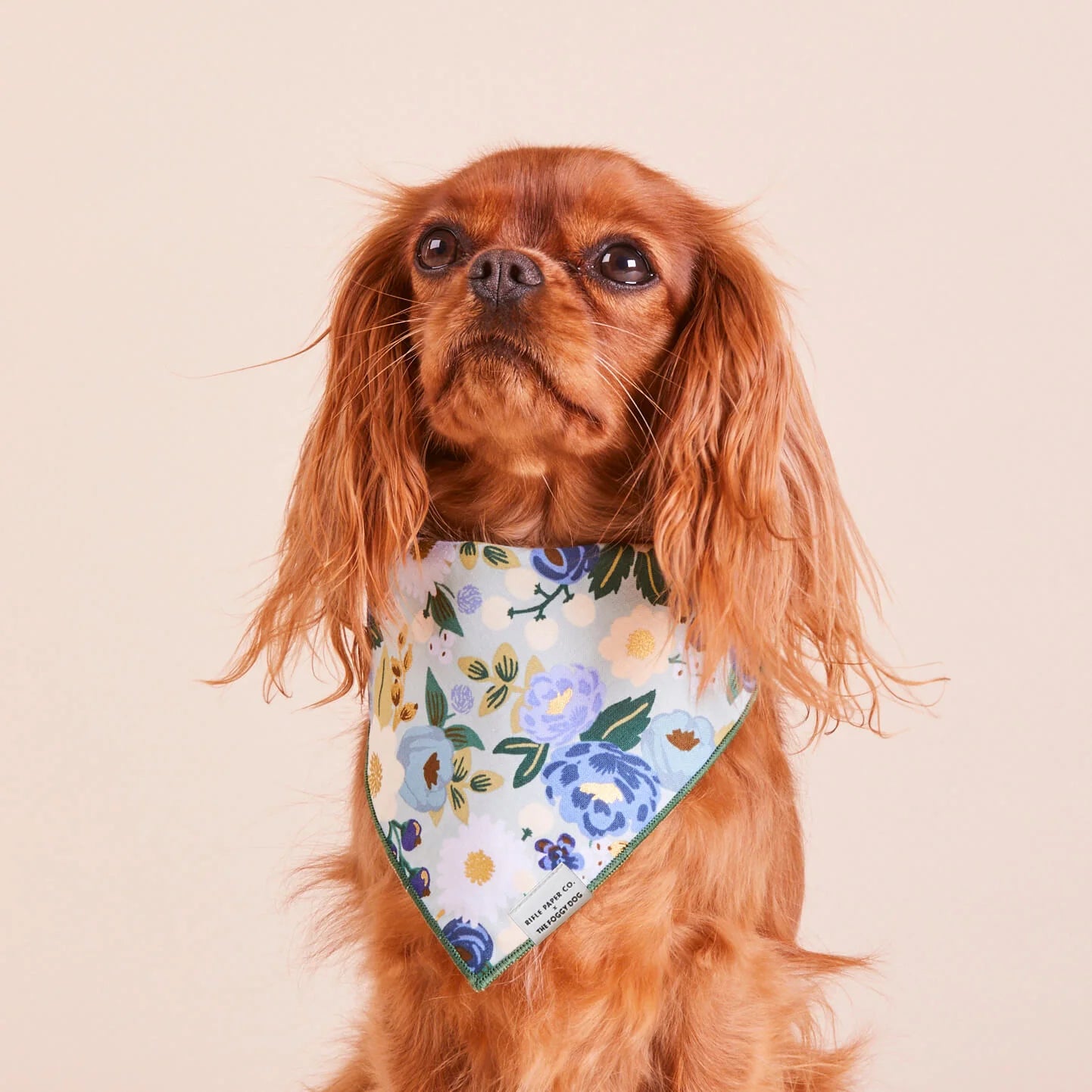 The Foggy Dog - Bandana Dog Rifle Paper Co. x TFD Vintage Blossom