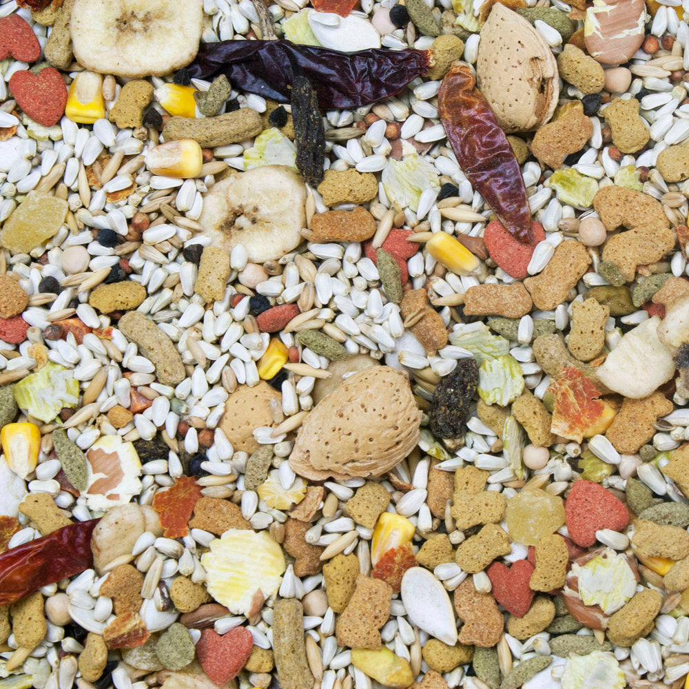 Higgins - Vita Seed California Blend Parrot Food