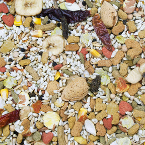Higgins - Vita Seed California Blend Parrot Food