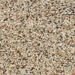 Higgins - Vita Seed Canary Food