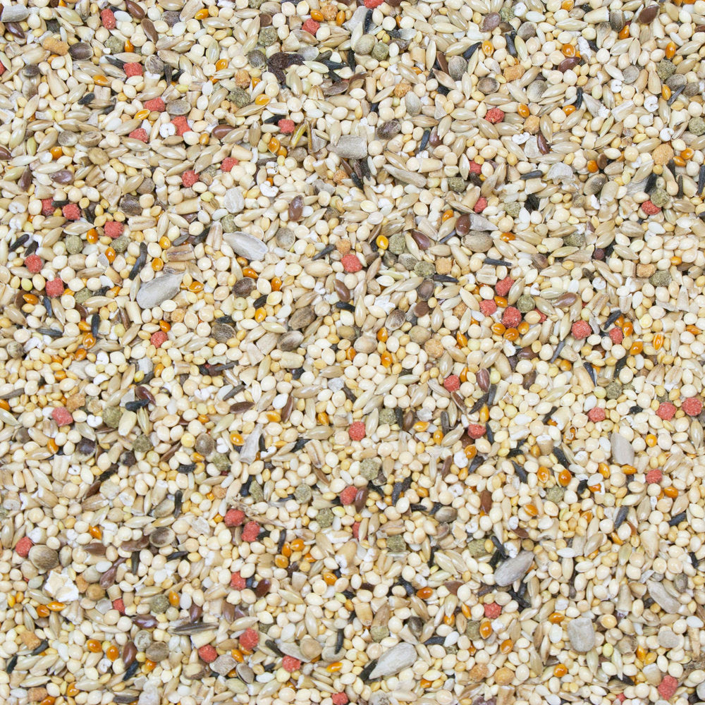 Higgins - Vita Seed Finch Food