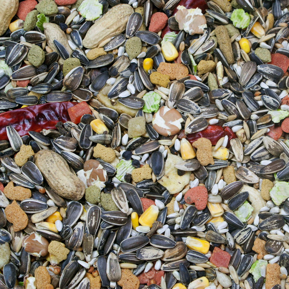 Higgins - Vita Seed Parrot Food
