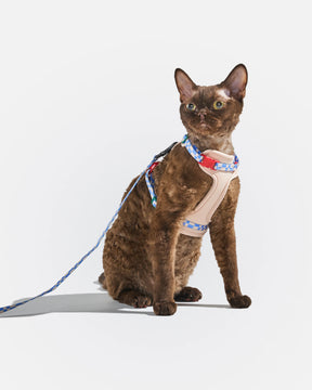 Wild One - Cat Harness With Leash