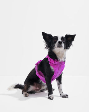 Wild One - Dog Harness Adjustable Comfort Orchid