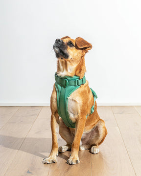 Wild One - Dog Harness Adjustable Comfort Spruce