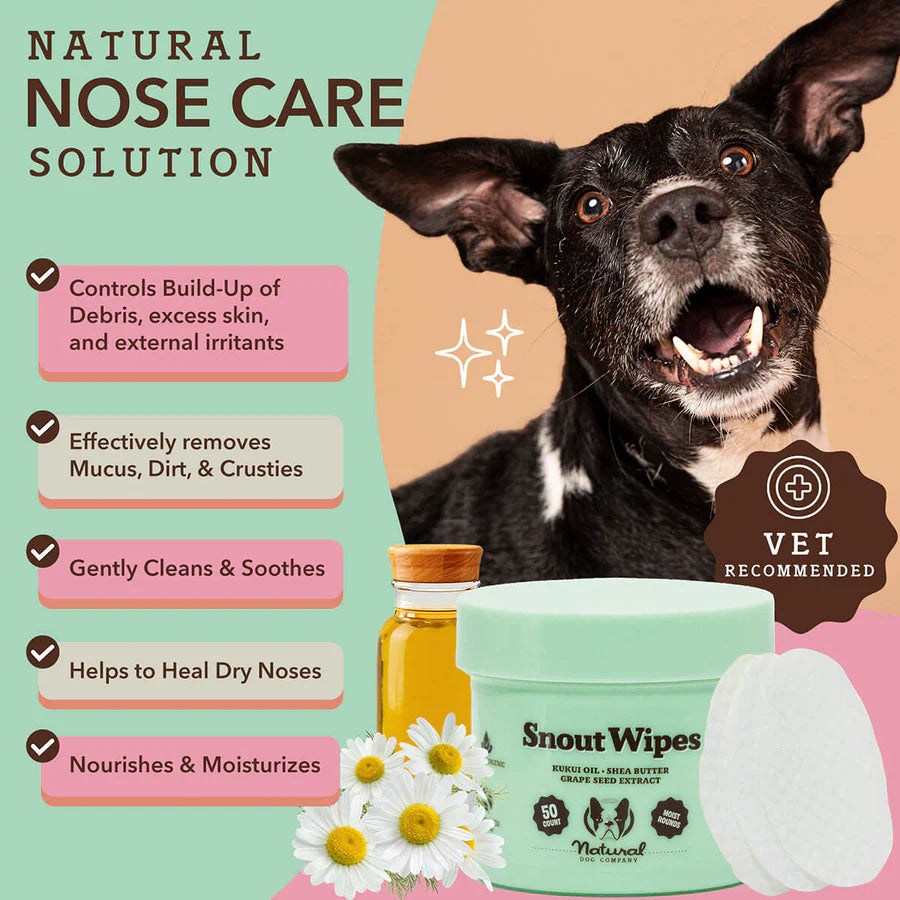Natural Dog Company - Snout Wipes Jar