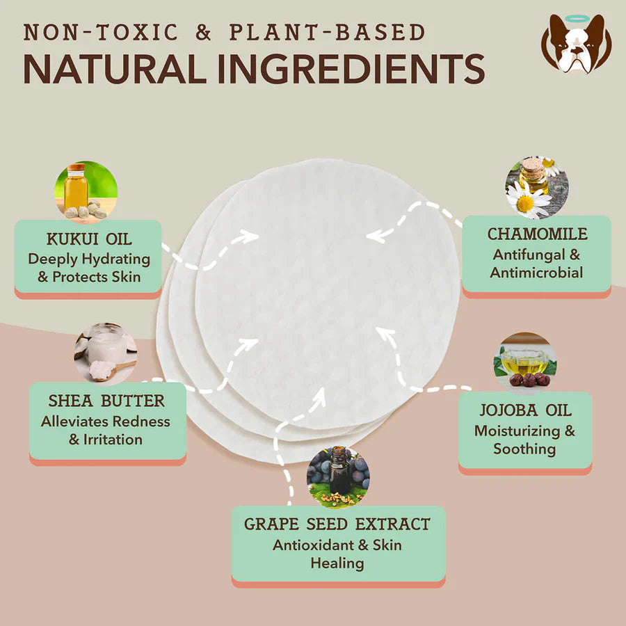 Natural Dog Company - Snout Wipes Jar