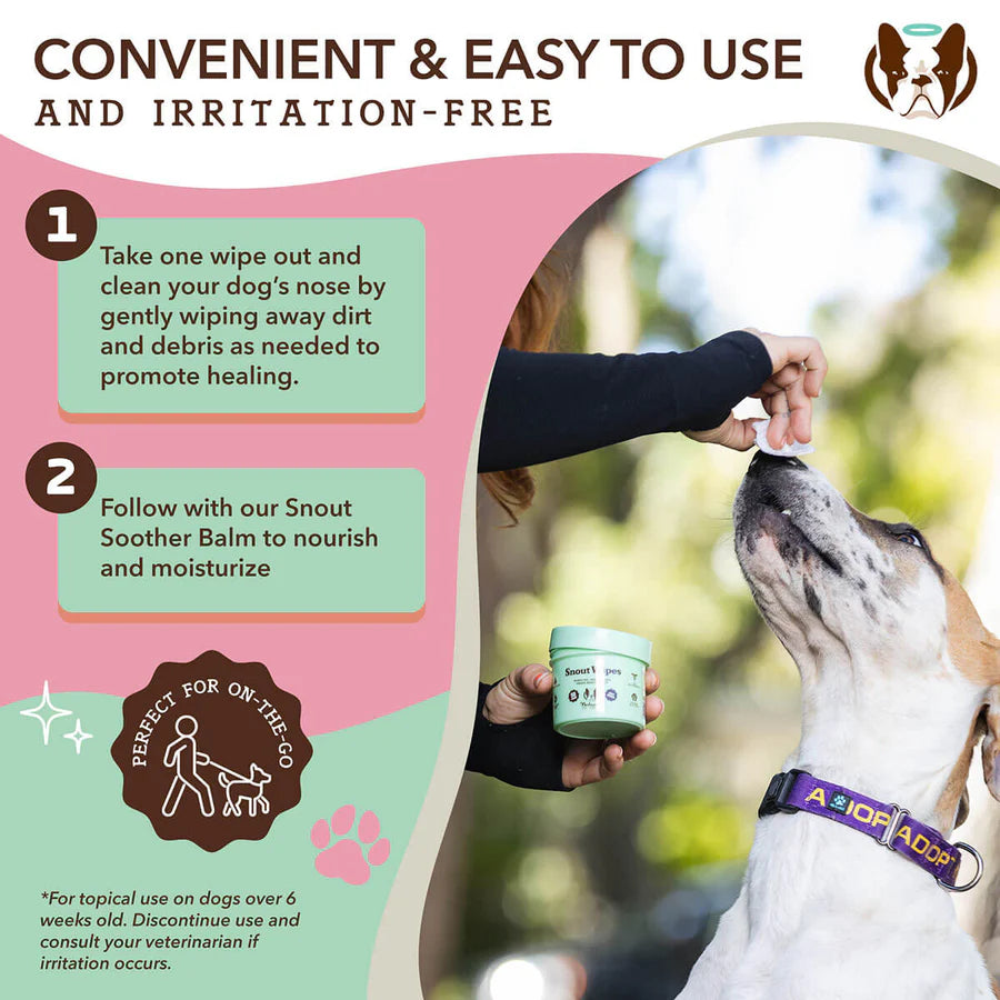 Natural Dog Company - Snout Wipes Jar