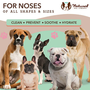 Natural Dog Company - Snout Wipes Jar