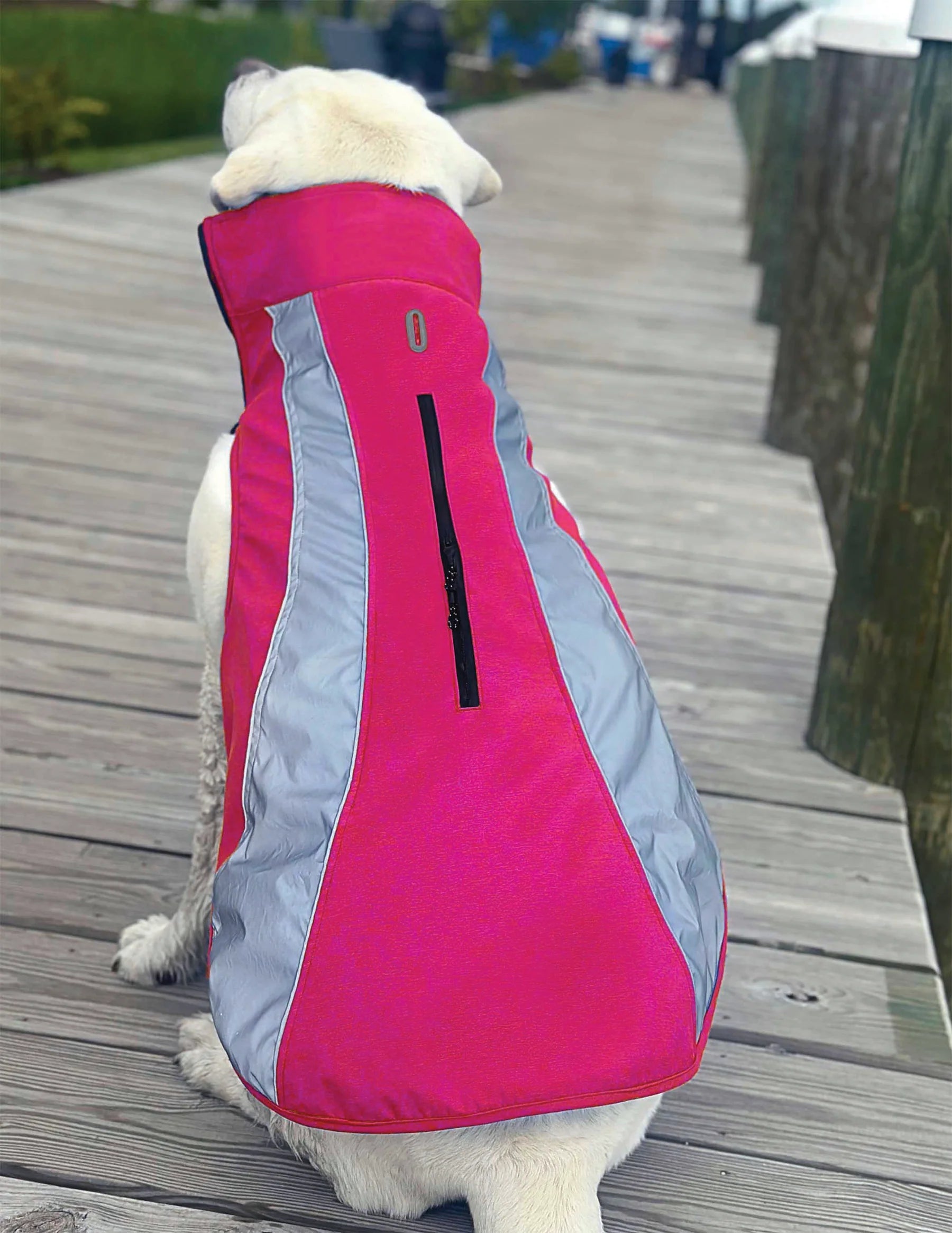 Baydog - Saginaw Fleece Coat
