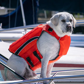 Baydog - Monterey Bay Offshore Canine LifeJacket