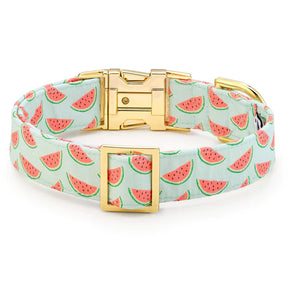 The Foggy Dog - Dog Collar One In A Melon
