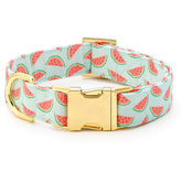 The Foggy Dog - Dog Collar One In A Melon