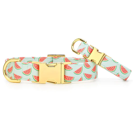 The Foggy Dog - Dog Collar One In A Melon